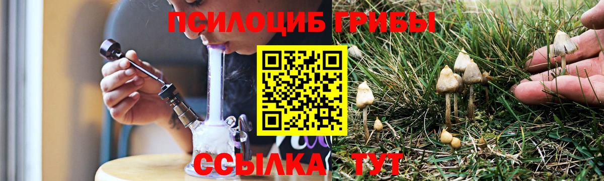 Галлюциногенные грибы ЛСД  Псилоцибиновые грибы ЛСД  Вход с VPN  Крымск 