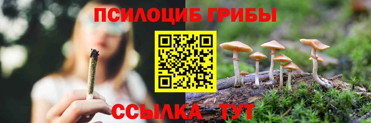Галлюциногенные грибы мицелий Крымск